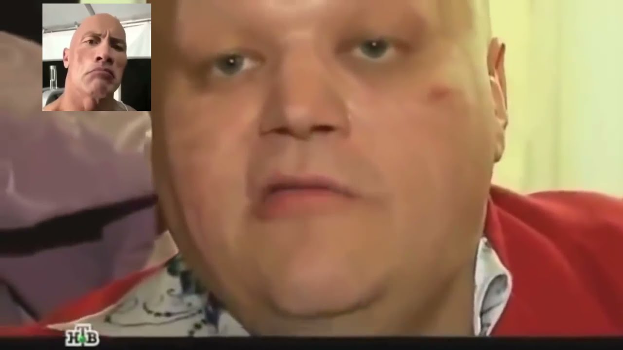 скала оценивает мемы