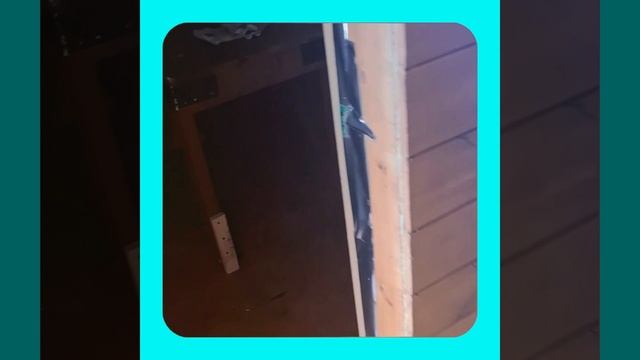 1000070945.mp4 Собака смотрит на планирование подготовки к устройству отопления в доме А-фрейм