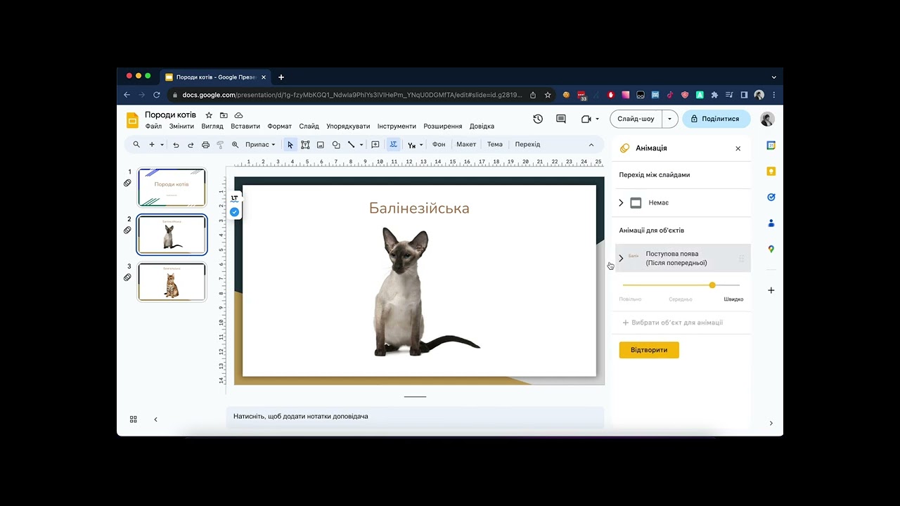 Анімації в google презентаціях google slides Інструкція