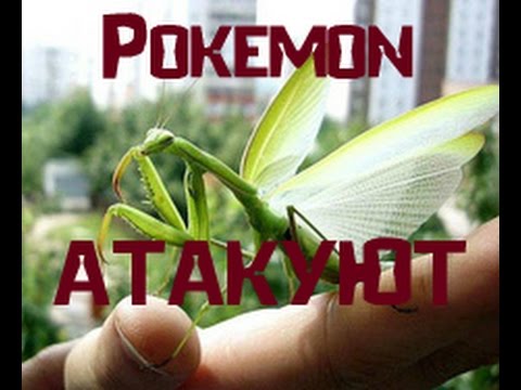 ШОК!УЖАС!АТАКА ЗЕЛЕНЫХ ПОКЕМОНОВ!Зеленое чудовище!