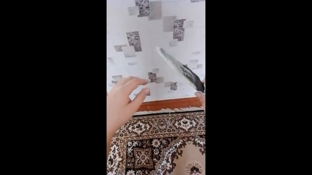 анимация куная бон из стандофф