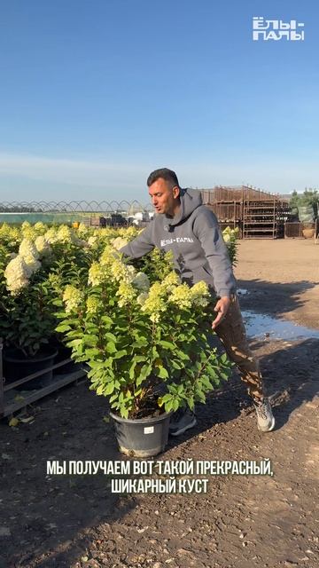 Сегодня на нашем рынке спад и кризис, но мы продалжаем отгружать оптовые заказы