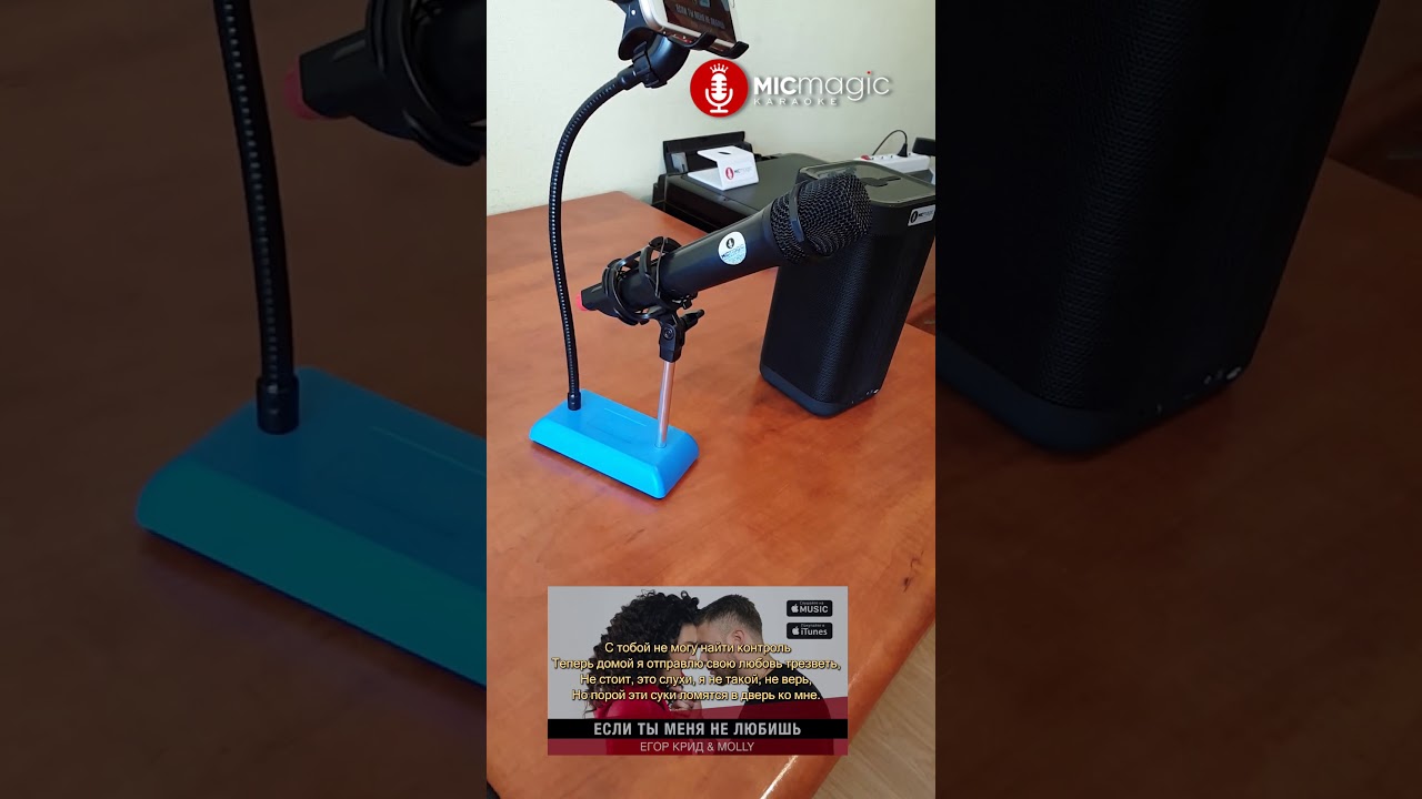 КАРАОКЕ МИКРОФОНЫ TUXUN MicGeek в Бишкеке