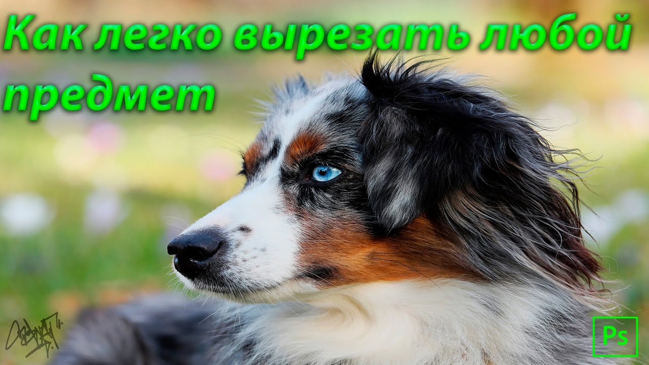 Как легко вырезать любой предмет в Фотошопе  How to easily cut out any object in Photoshop
