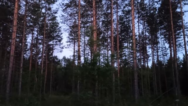 Фінляндія природа тишина красота...