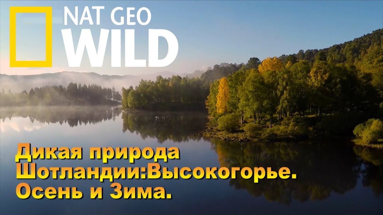 Nat Geo Wild: Дикая природа Шотландии: Высокогорье. Осень и зима Wild Scotland