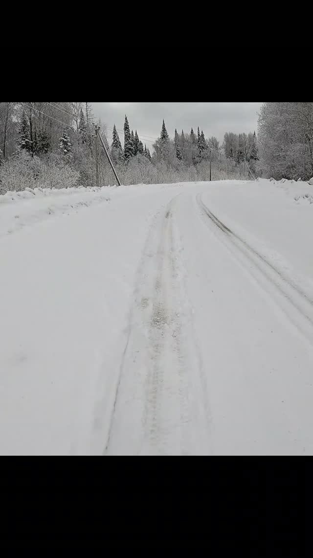 Птичья перекличка