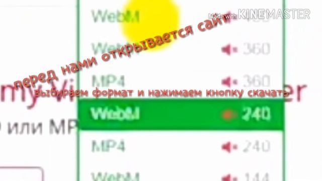 135982768cd28e6cb3c4819b41a286e6