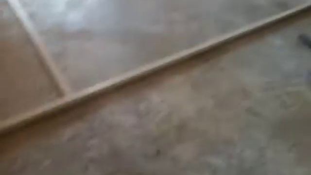 Наливной пол года.(2)