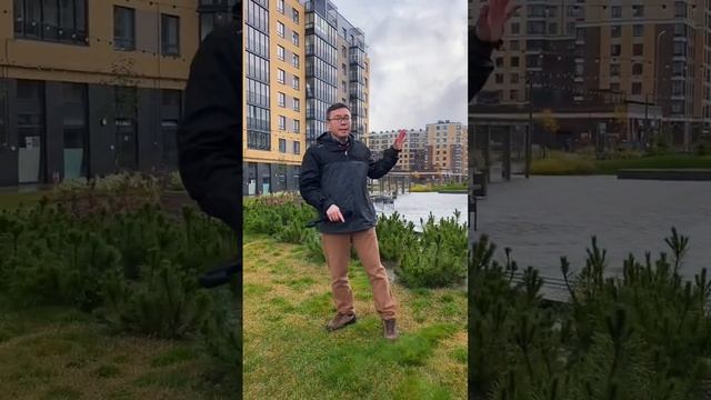 #лсрстеновые #строительство #клинкер #кирпич