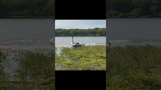 86536c7332015004f977e7a6f9b5a548