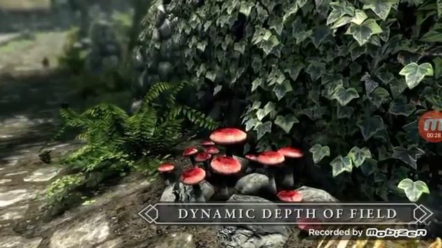 Skyrim Remastered Edition