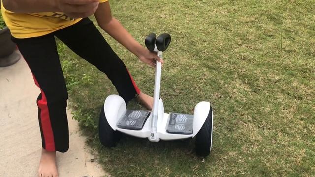 Ninebot S Segway Unboxing And Review