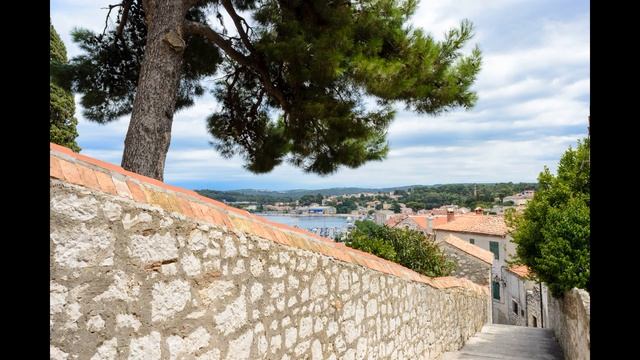 Цирковые Шоу с Трюками и Фокусами