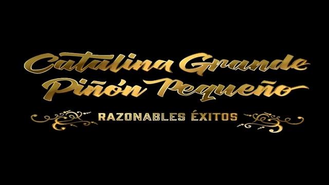 CATALINA GRANDE PIÑÓN PEQUEÑO - Opel Kadett 1.8 i - RAZONABLES ÉXITOS (2024)