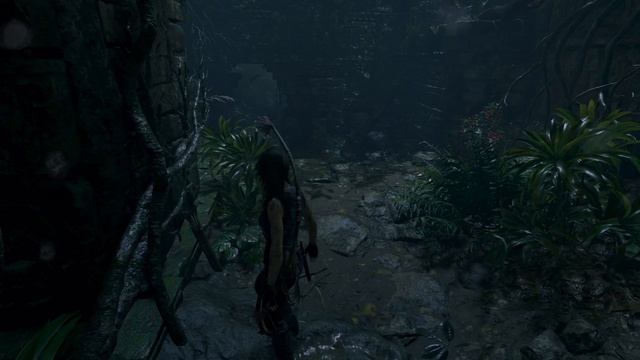 Shadow Of The Tomb Raider Definitive Edition