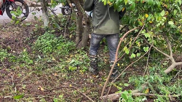 Cut the Lawn and Clean the whole Garden and House  Clean up the abandoned house
