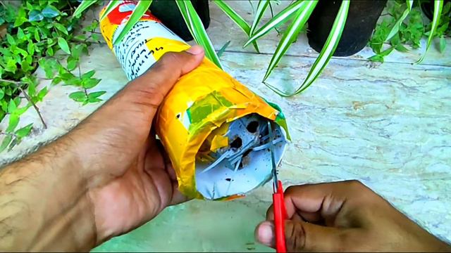 Rare Syngonium Verity Unboxing/Syngonium Panda @omersgarden7659