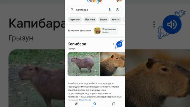 гугл фишка 17