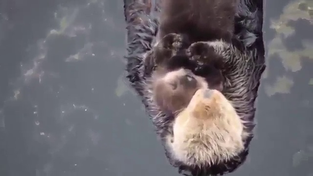 A5e40f6c4006609dff75645be366492c