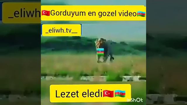 E32bda09cdaf42c327936b3ac28421ad