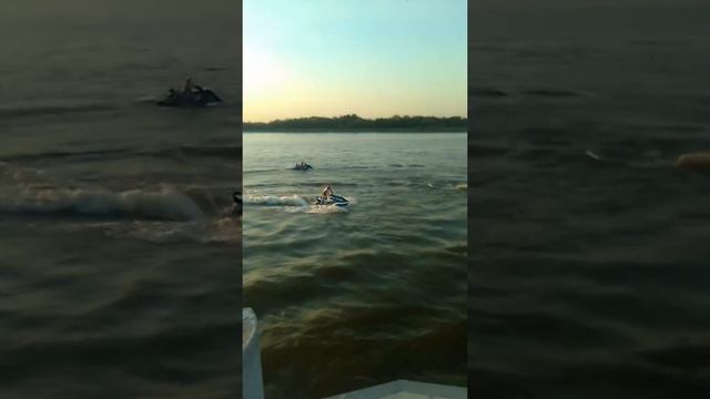 B84247740521e9e84d9f1e337b195f81