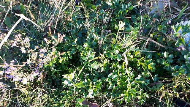 В Крыму можно встретить много удивительного🤔😁