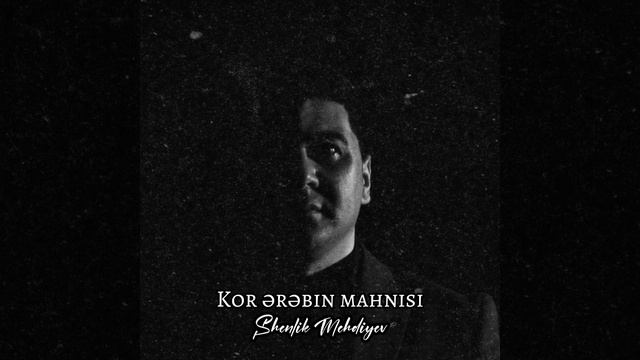 Шенлик Мехдиев - Кор еребин махнымы