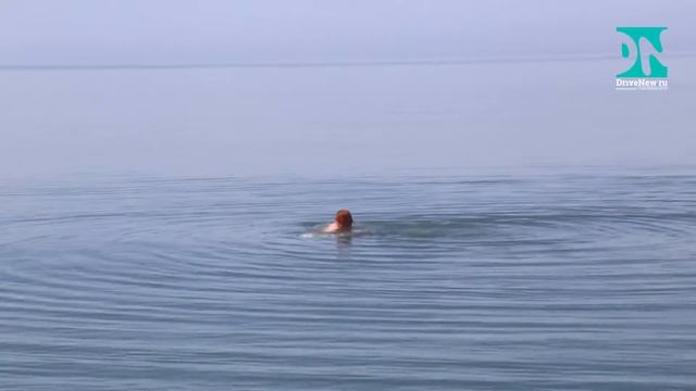 Имеретинская набережная. Drivenew