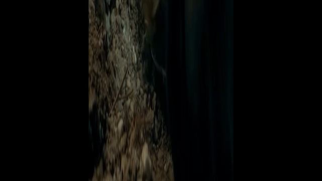 26b64a9bde359ceaa76253cbfd7202a2