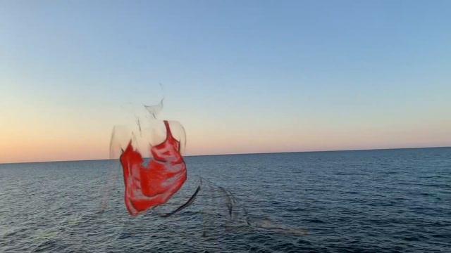 Undici Undici - Duo Octo Cordae And Mariangela Padula (music By Federico Longo)