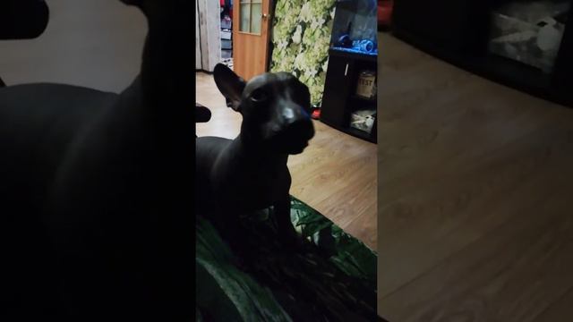 83c5629e73fda420fb2a27d0cc3b1ac8