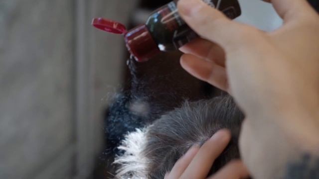 Lock Stock & Barrel – VOLUMATTE HAIR POWDER How To Use