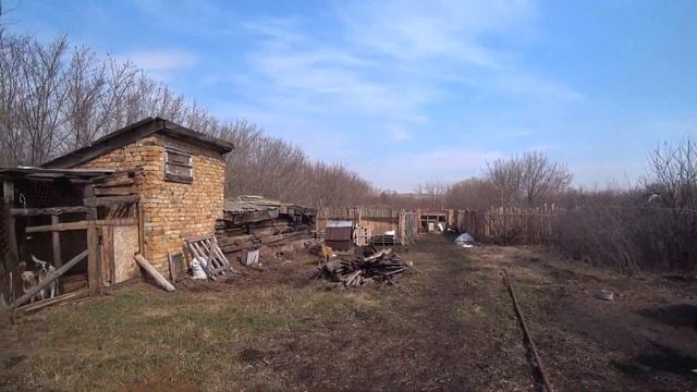 Еда для хвостиков! Спасибо Вам дорогие друзья!!!!