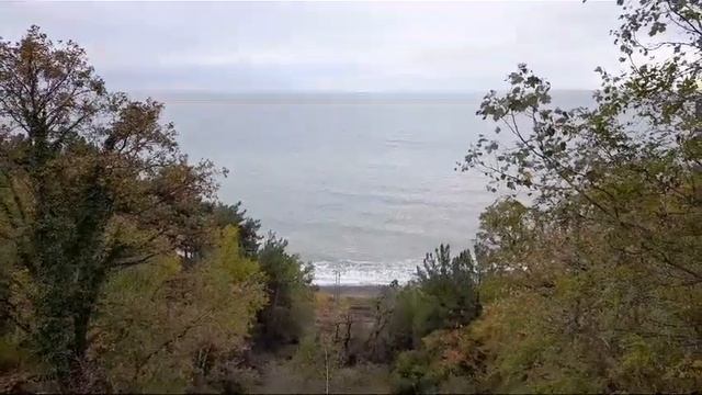 А вы бы хотели такой вид из окна?