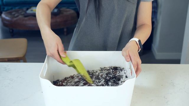 Aroid Potting Mix - Anthurium Luxurians | Plant Please | #aroid #howto