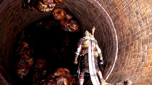 Elden Ring. Fate Of The Extinct. Dung Eather. Элден Ринг. Судьба Погасшего. Поедатель Отбросов.