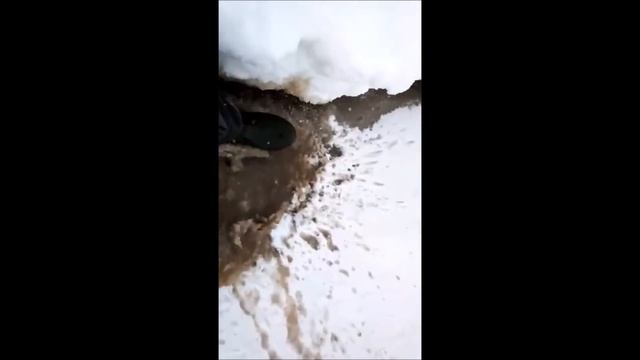 Замор на Оби в Сургуте
