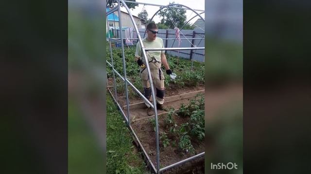 Замена поликарбоната на теплице