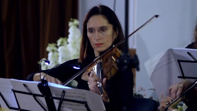 Vivaldi, Storm: Lyubomudrov · Baranov · Metamorphose String Orchestra