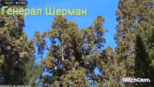 0dc531ffb5acda72dfee45dd6530fb5b