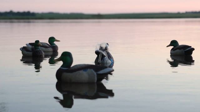 Lucky Agitator HDi | Lucky Duck Decoys