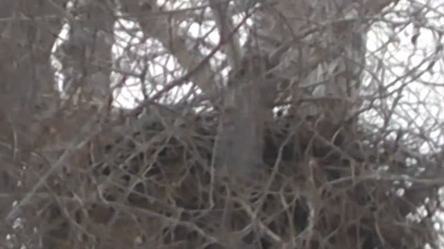 D2a9d30b6adf283296580890f1b80828