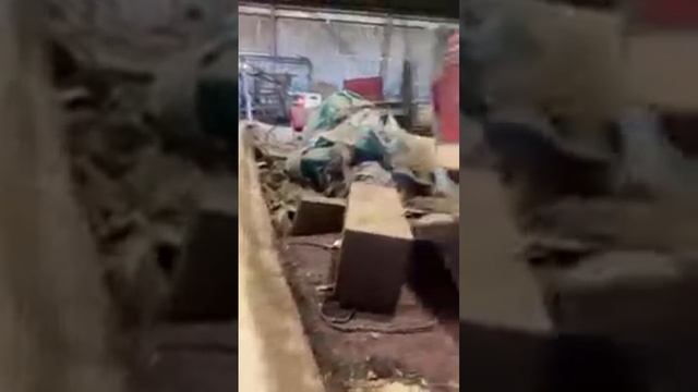 TheZachLife Is Live!