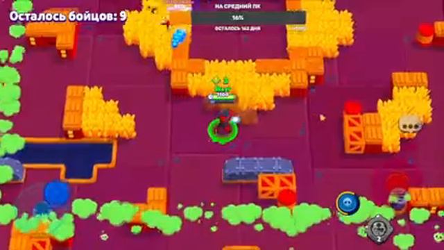 СОЛО ШД БРАВЛ СТАРС