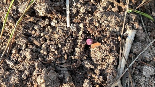 Af2d4d5ab5055d1747a1e9f3386fb3ba