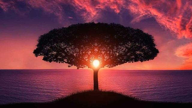 BEAUTIFUL RELAXATION MUSIC FOR SLEEP. RELAX FEELINGS