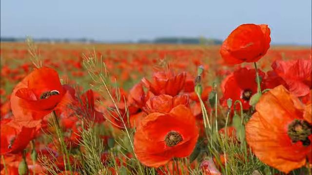 6e05437a759e5532b1637cdfdfee78f5