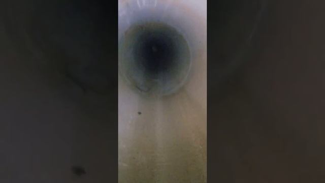 Trying To Conquer The Lygophobia Cache...