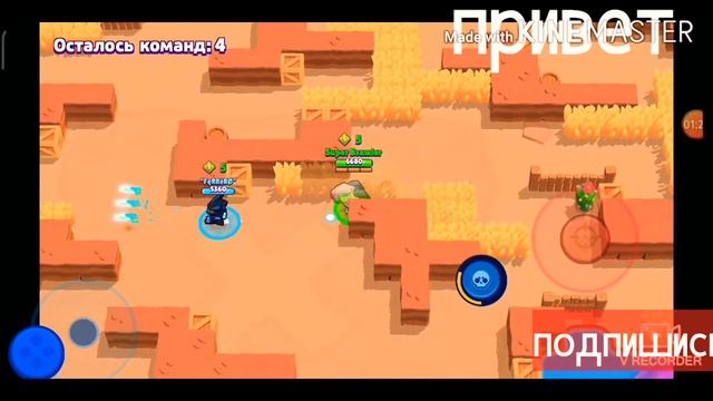 Светлый_меха_бо+черный_меха_ворон